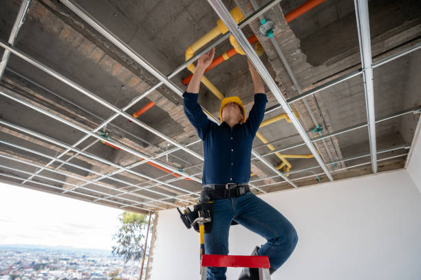 Best Plumbing Services Near Me  in Raymond, IL