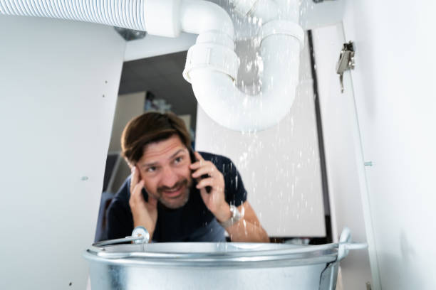 Best Shower Repair Services  in Raymond, IL